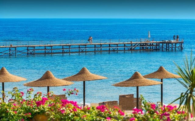 Egypt/Marsa Alam